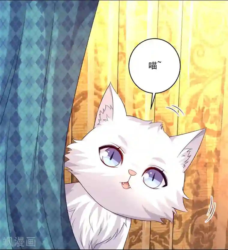 明星是血族第238话 如果我的男人是只猫~