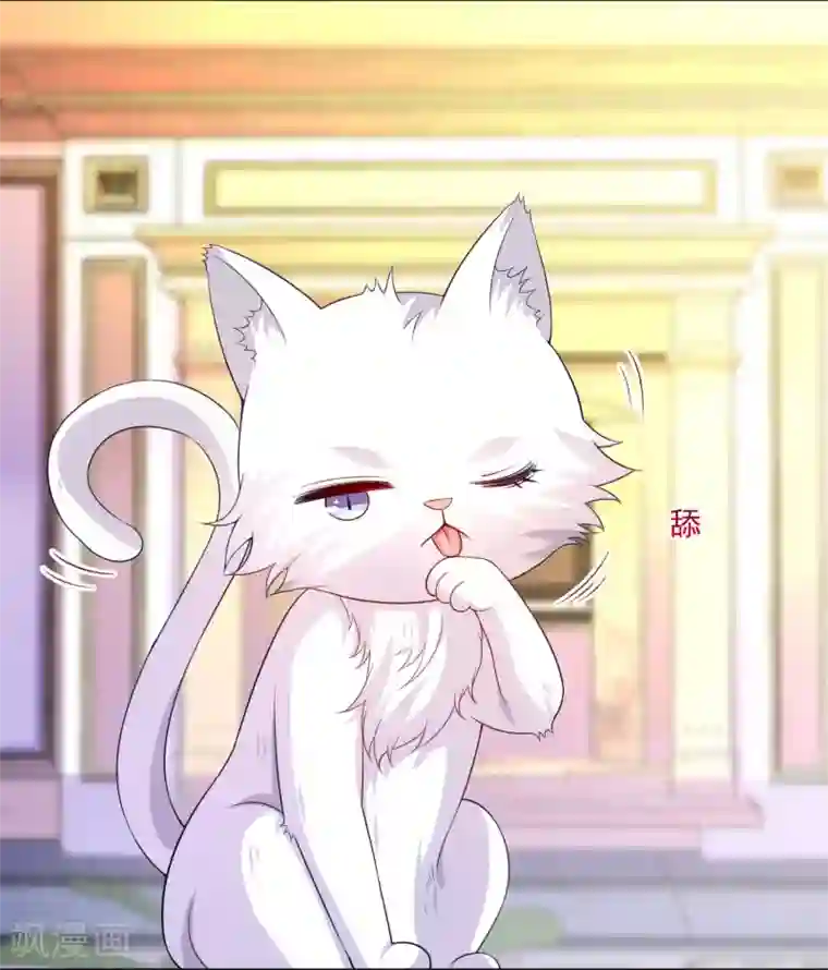 明星是血族第238话 如果我的男人是只猫~