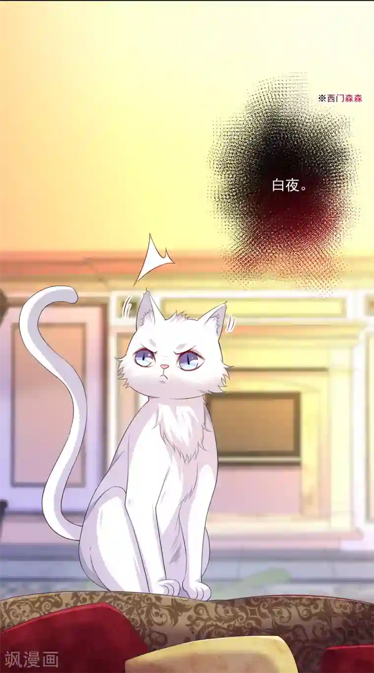 明星是血族第238话 如果我的男人是只猫~