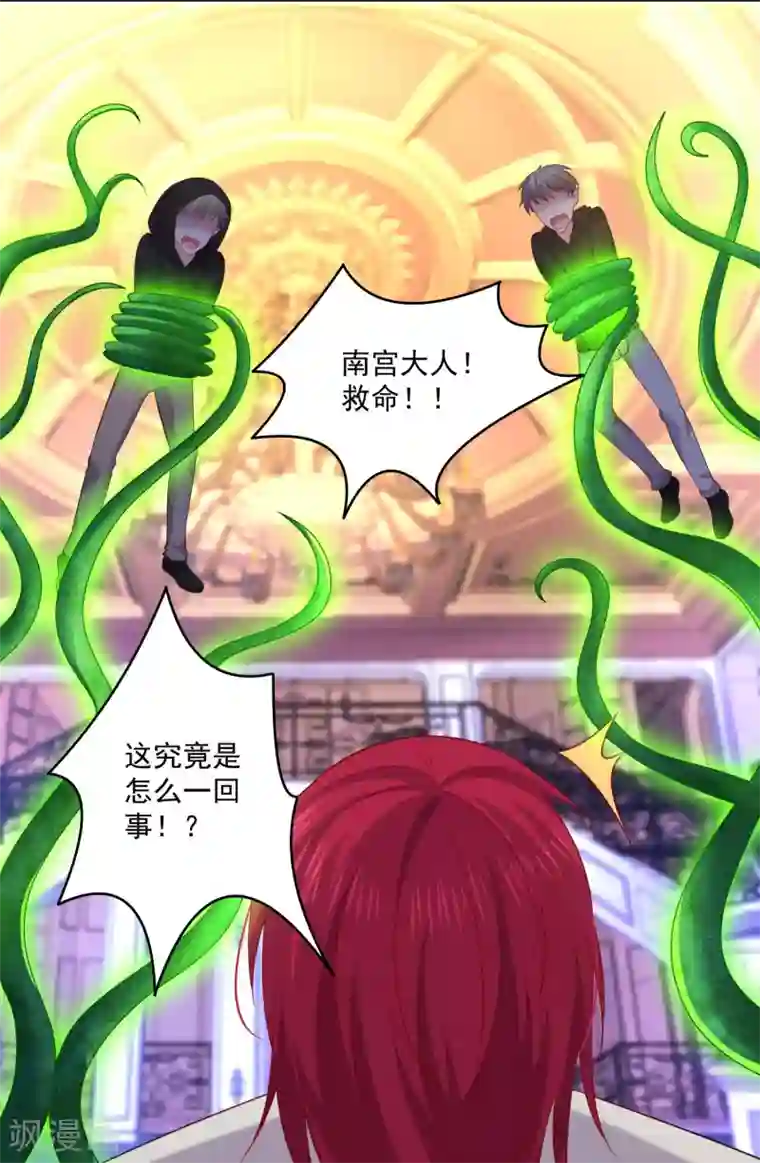 明星是血族第238话 如果我的男人是只猫~