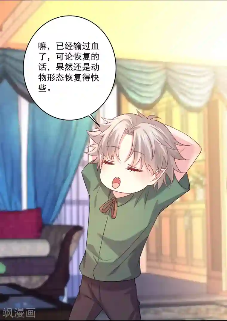 明星是血族第238话 如果我的男人是只猫~