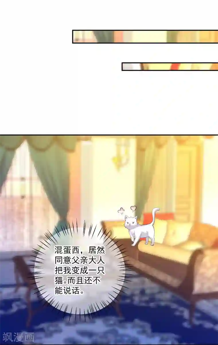 明星是血族第240话 给猫白夜洗澡~