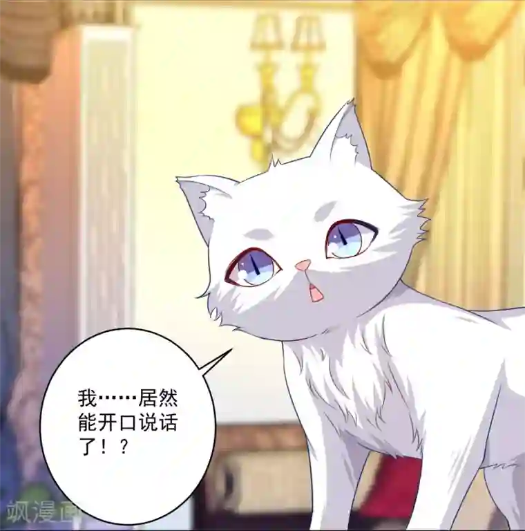 明星是血族第240话 给猫白夜洗澡~