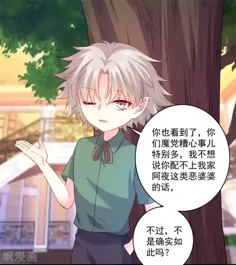 明星是血族第240话 给猫白夜洗澡~