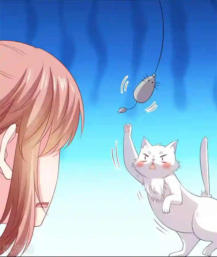 明星是血族第240话 给猫白夜洗澡~