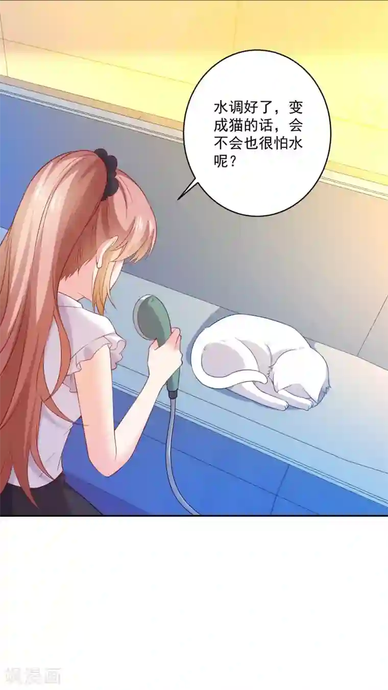 明星是血族第240话 给猫白夜洗澡~