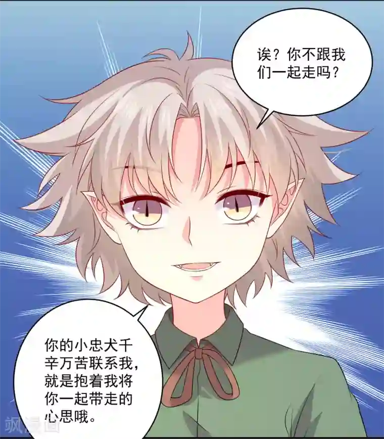 明星是血族第240话 给猫白夜洗澡~