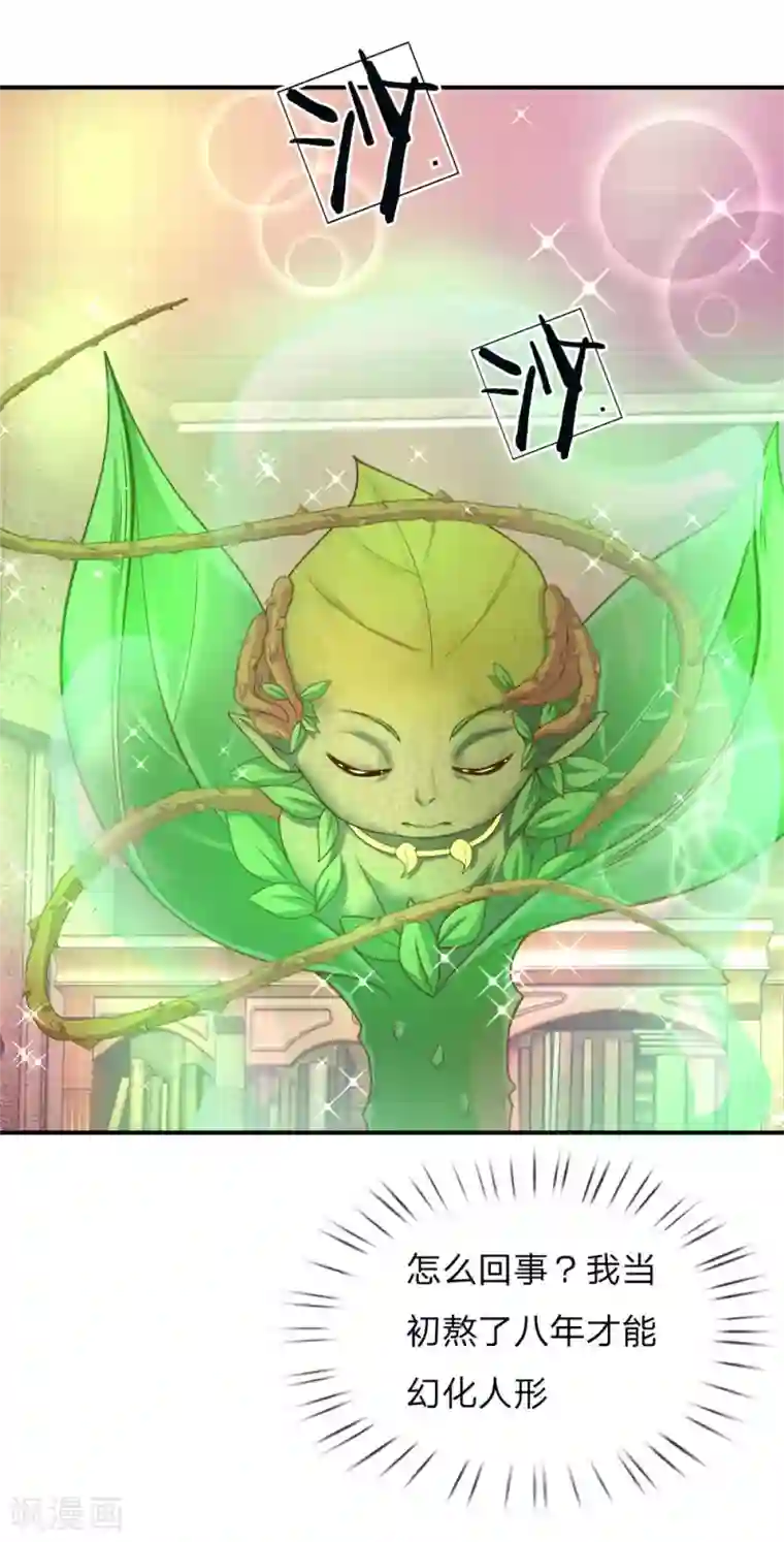 皇帝陛下的天价宝贝第120话 绿绿长大了