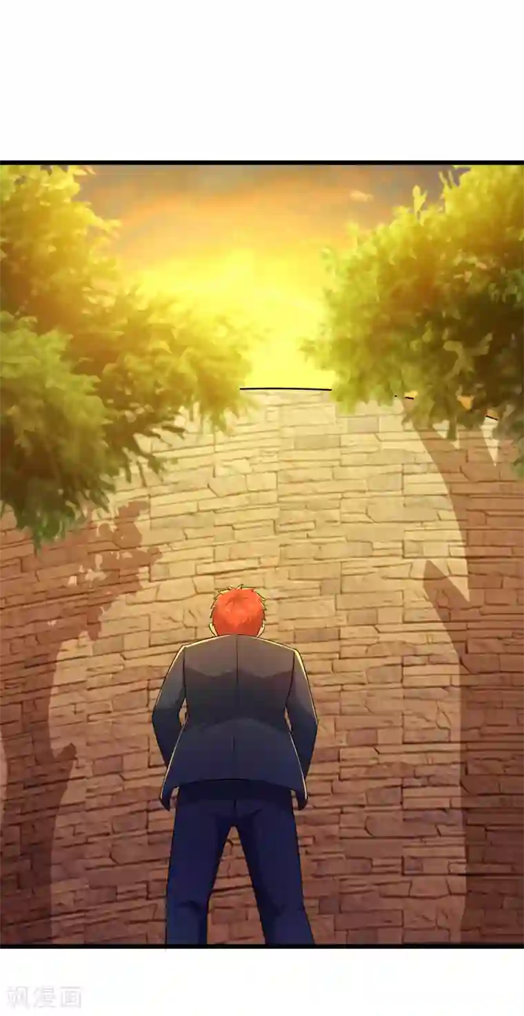 校花的最强特种兵第100话