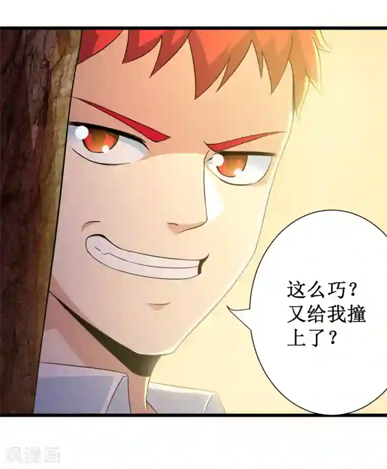 校花的最强特种兵第100话