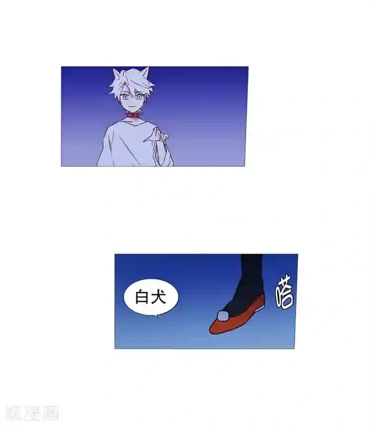 动物灵魂管理局第47话 打赌