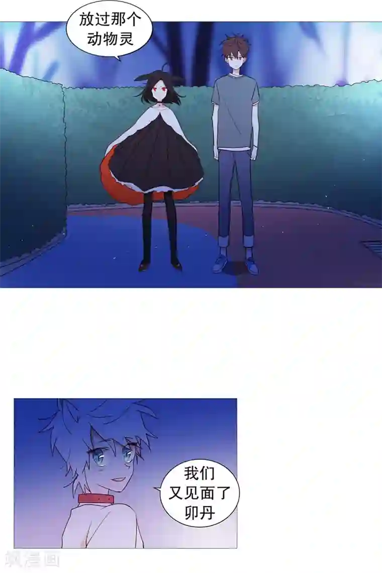 动物灵魂管理局第47话 打赌