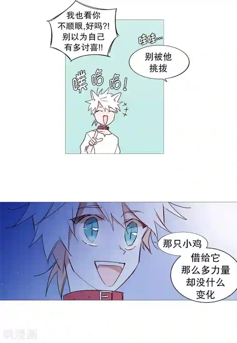 动物灵魂管理局第47话 打赌
