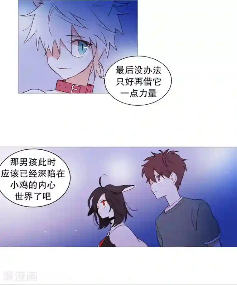 动物灵魂管理局第47话 打赌