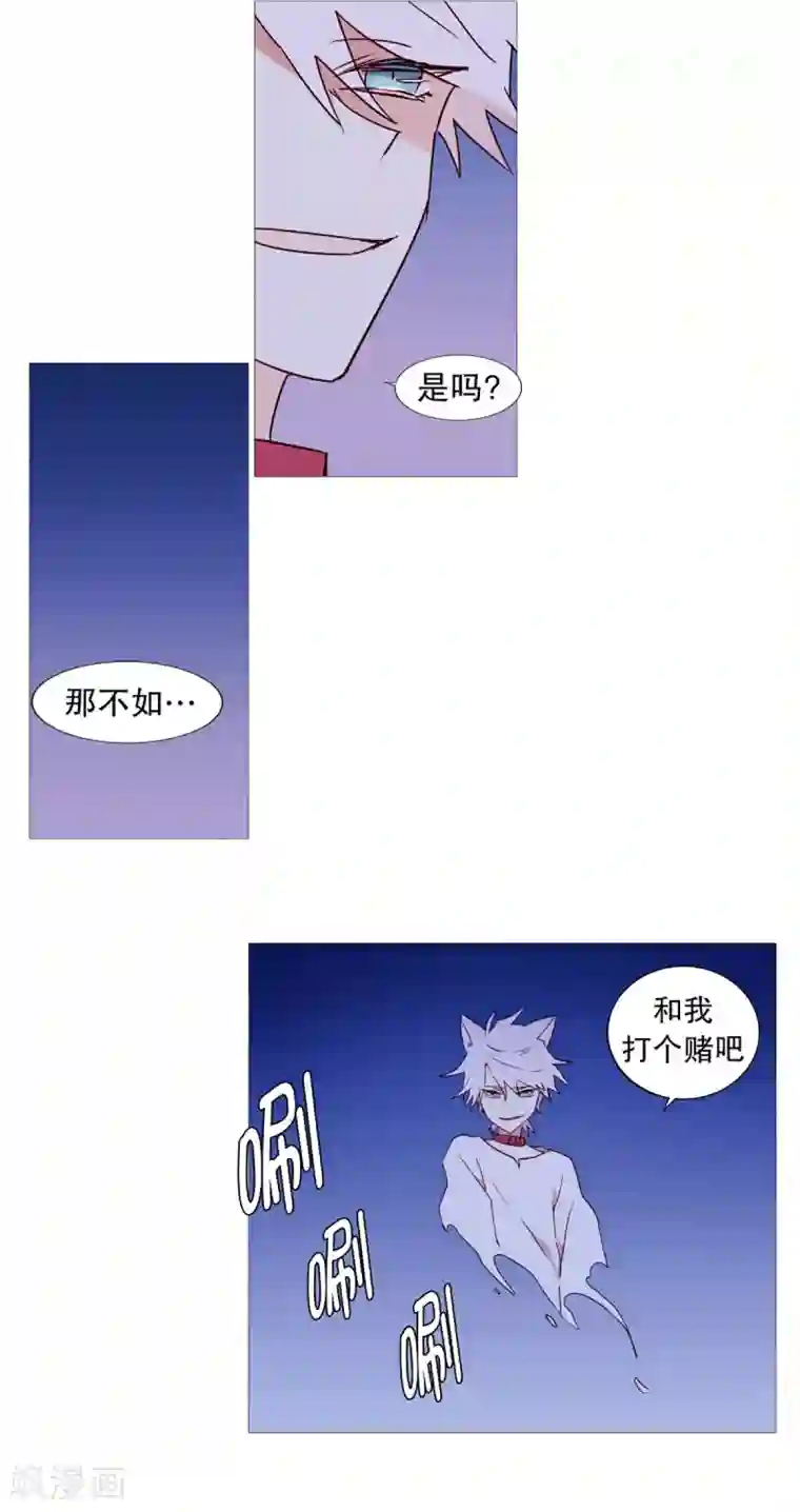 动物灵魂管理局第47话 打赌