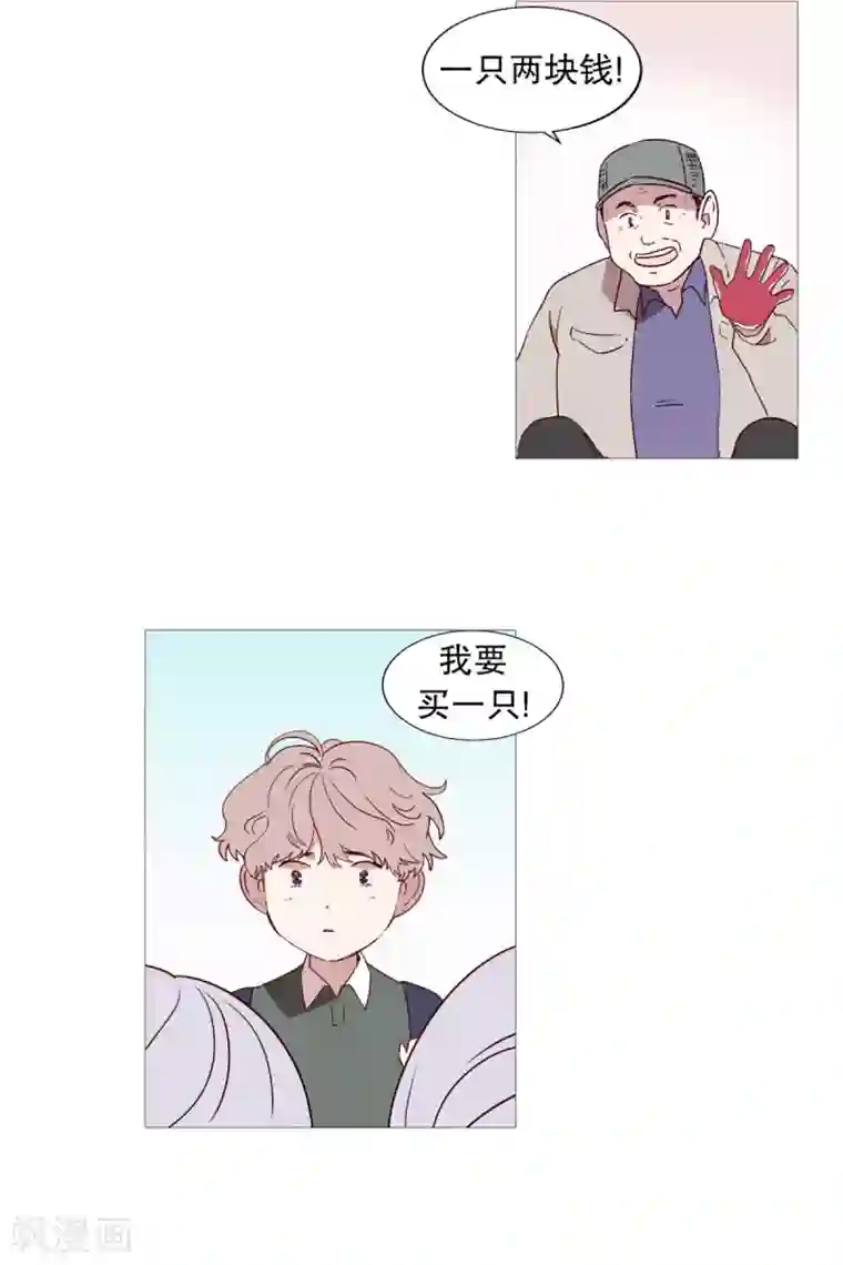 动物灵魂管理局第48话 小毅的内心1