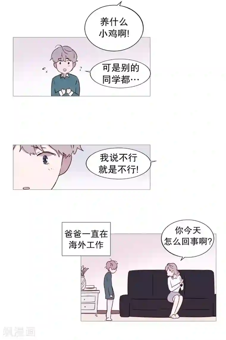 动物灵魂管理局第48话 小毅的内心1