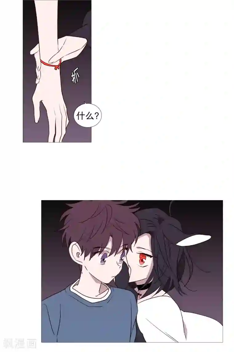 动物灵魂管理局第51话 信任