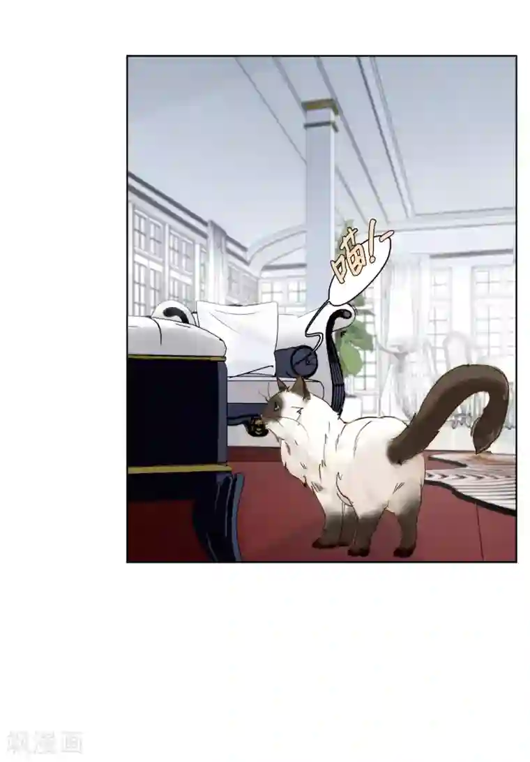 她来了，请趴下第4话1 归来