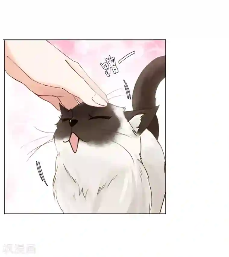 她来了，请趴下第4话2 归来