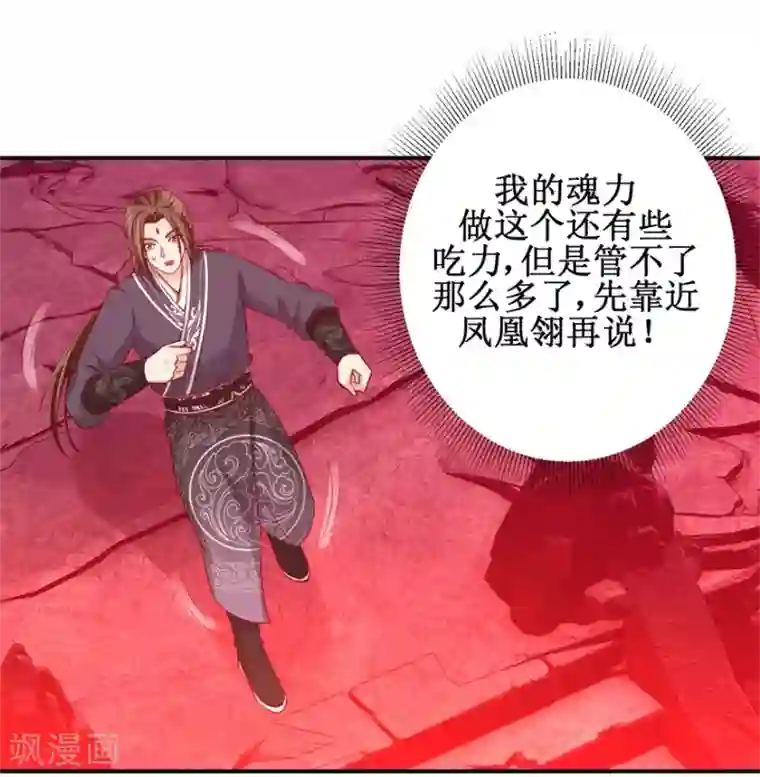 九阳帝尊第141话 凤凰翎到手