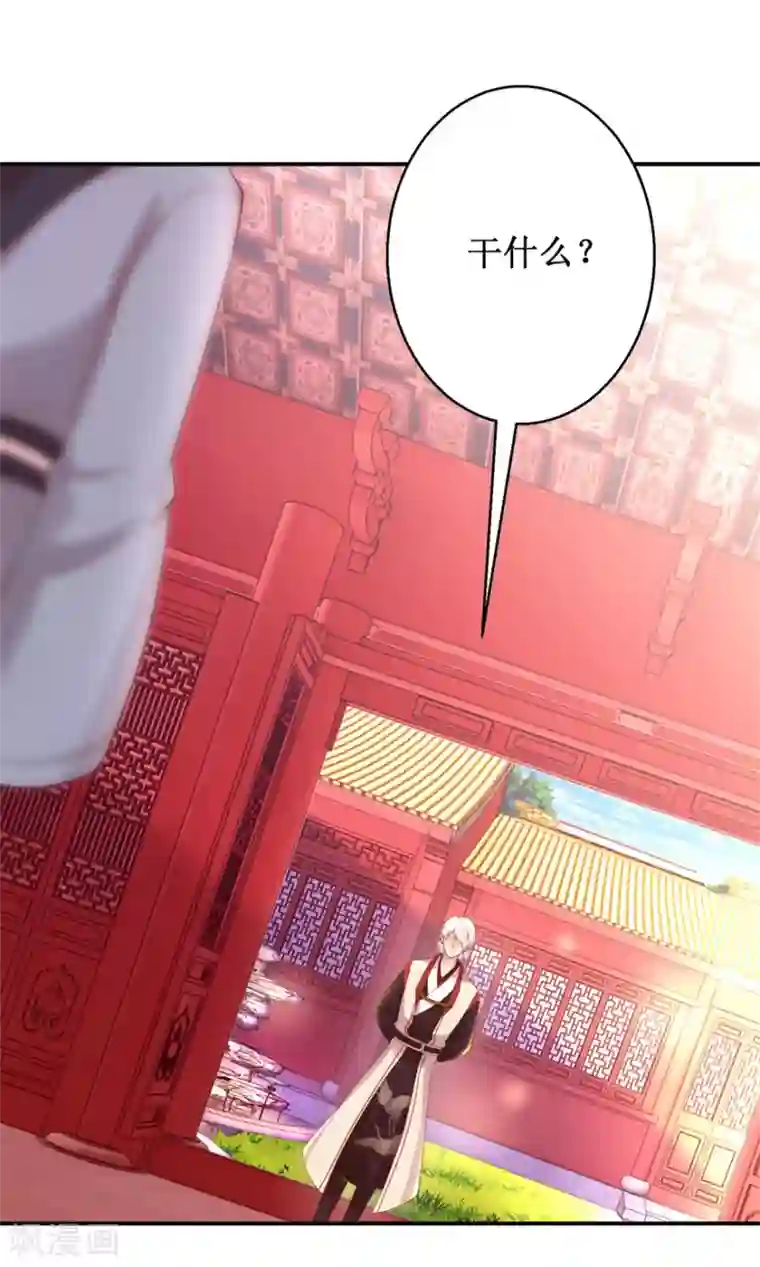 九阳帝尊第144话 全听你吩咐