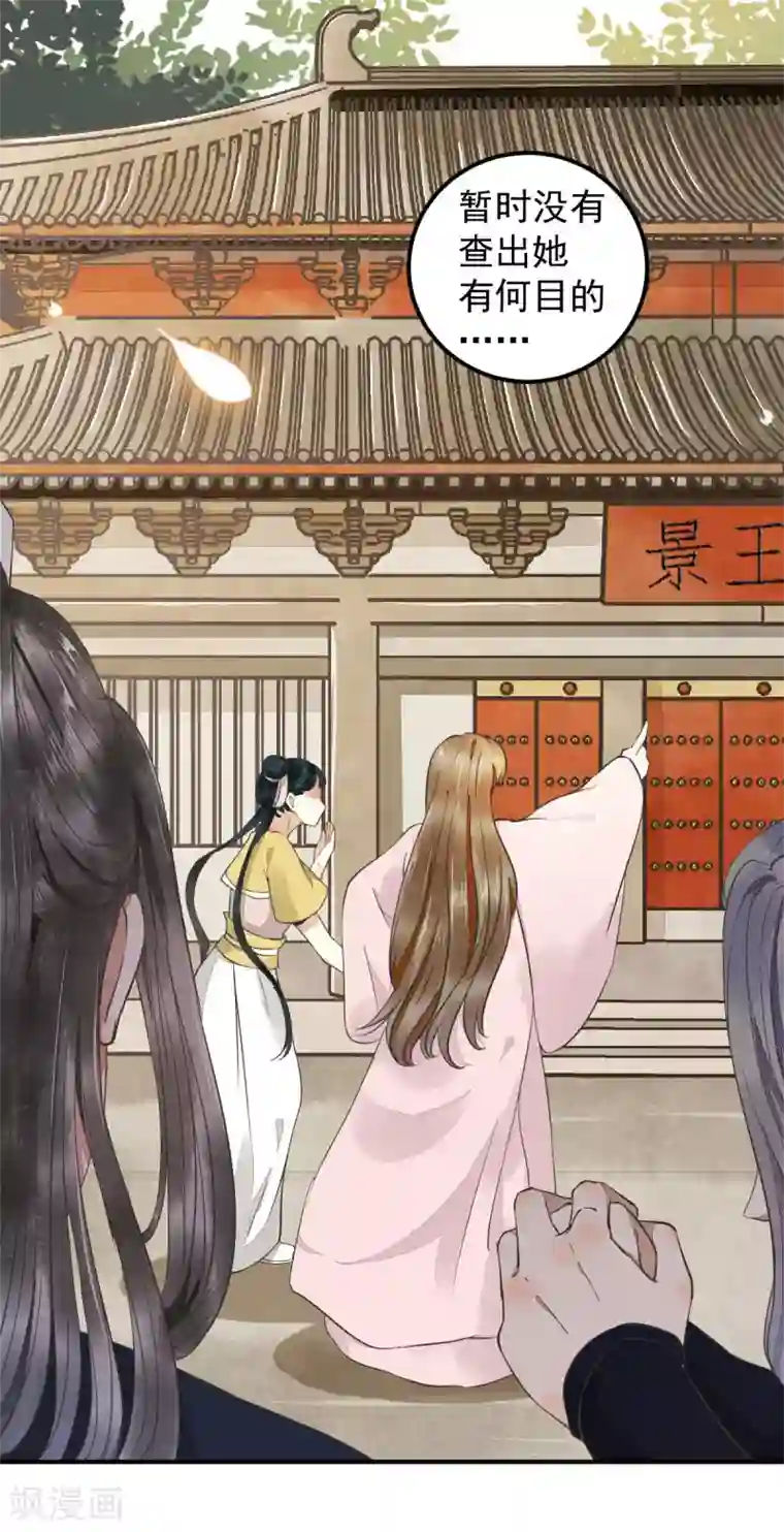 杀手王妃不好惹第3话 你有何企图？