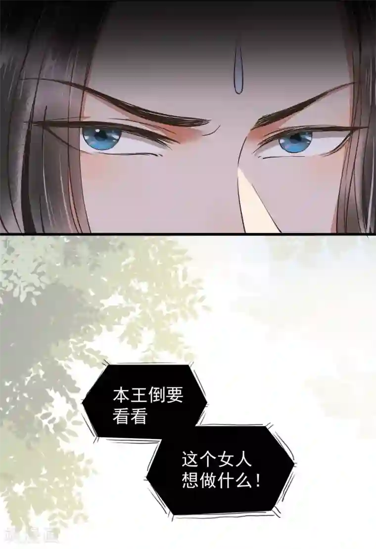 杀手王妃不好惹第3话 你有何企图？