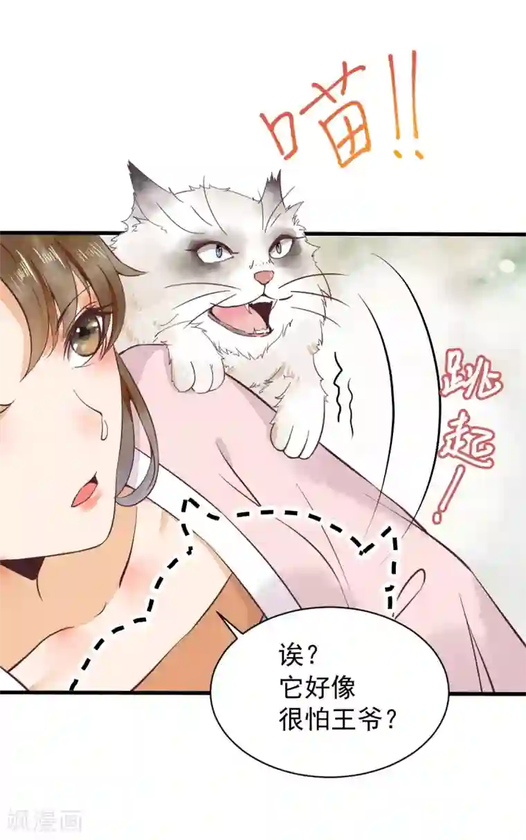 杀手王妃不好惹第5话 下药