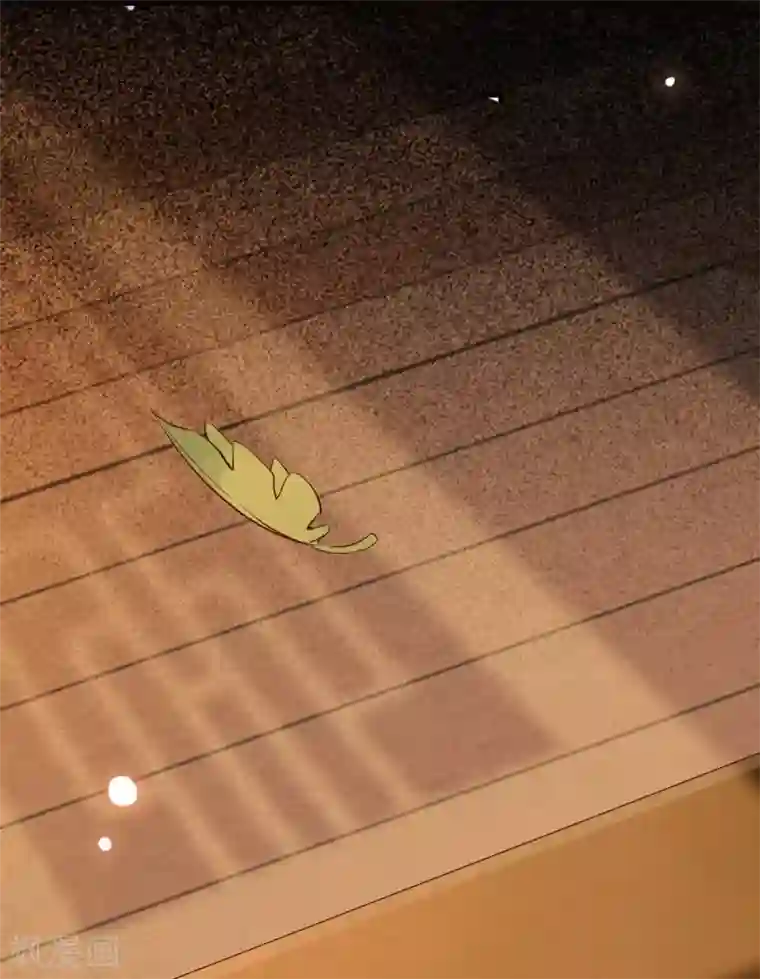 杀手王妃不好惹番外1 他们的故事