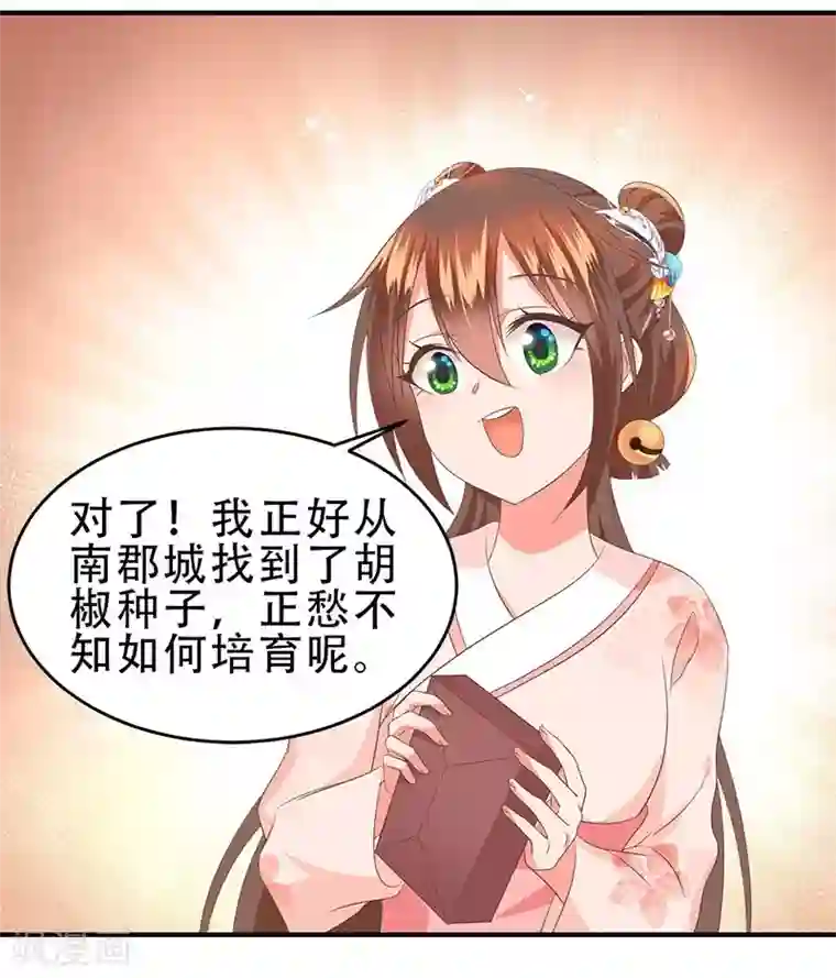 掌家小娘子第47话 桃花预警！