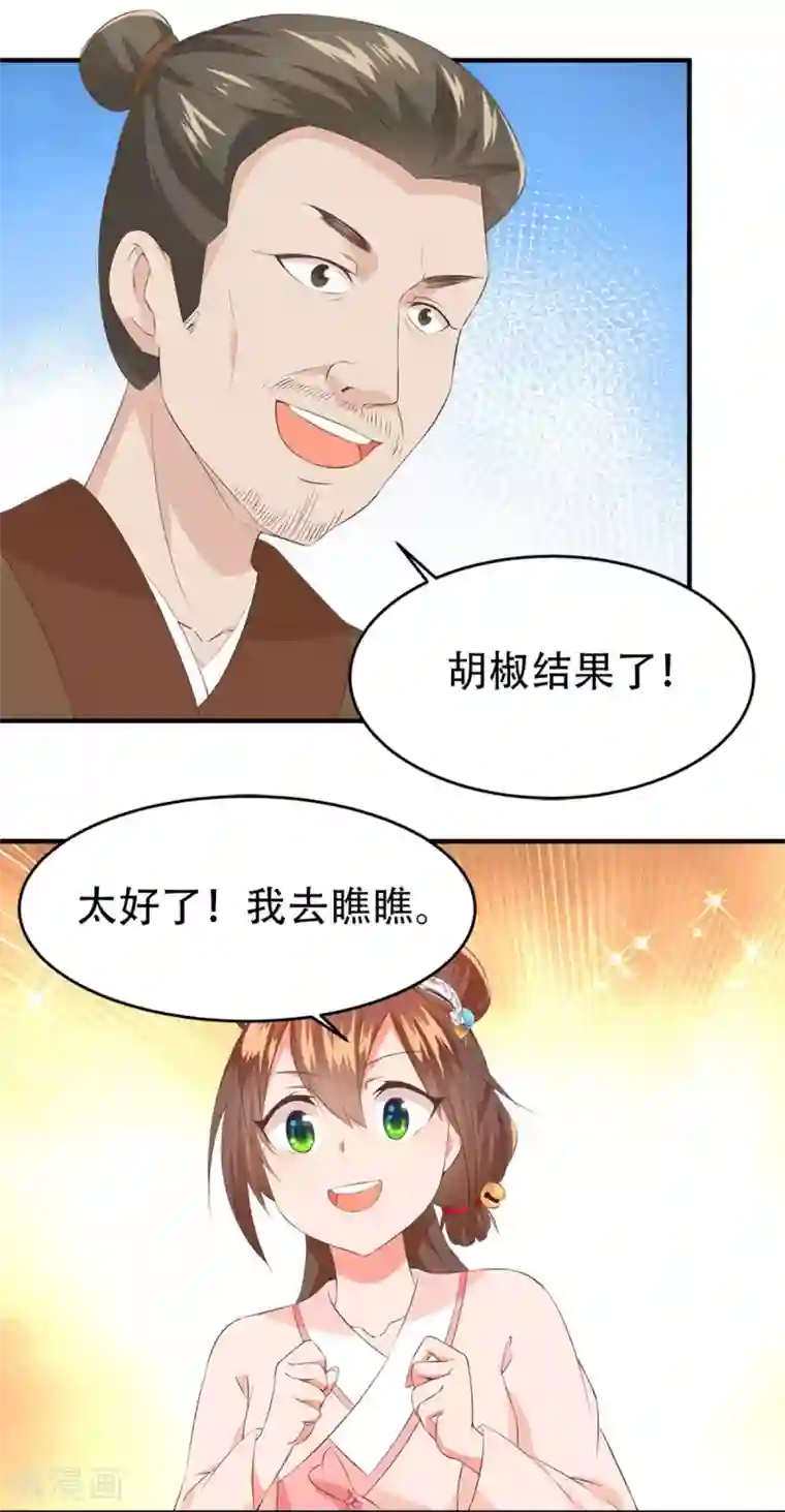 掌家小娘子第54话 神秘来客