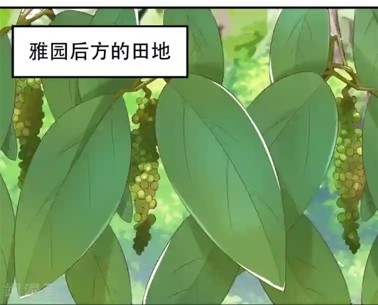 掌家小娘子第54话 神秘来客