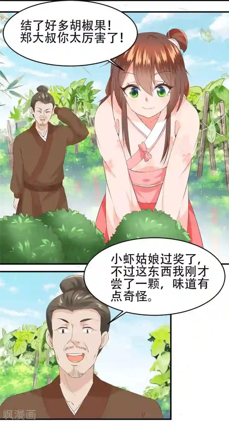 掌家小娘子第54话 神秘来客