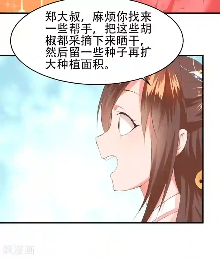 掌家小娘子第54话 神秘来客