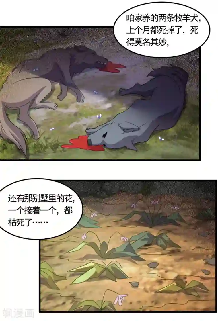 妖妖灵杂货铺第6话 高人