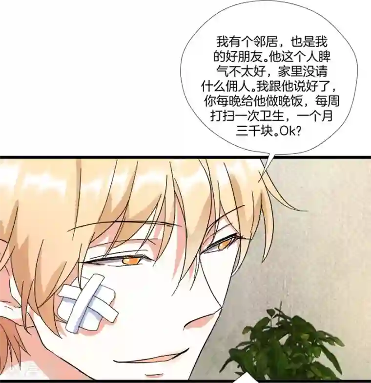 恋爱真香定律第8话 钟点工做吗？