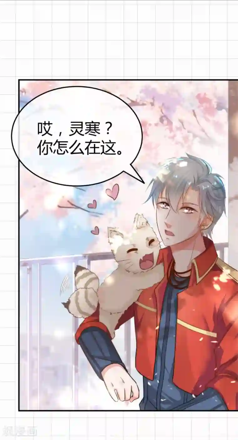 都市妖怪手册第5话 太乙聚灵符