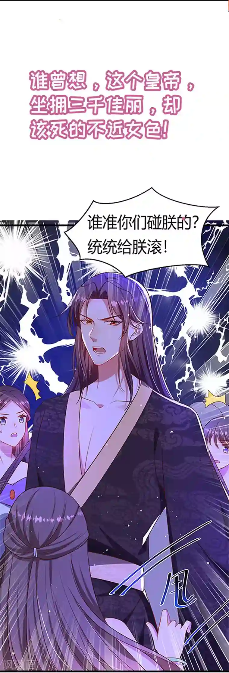 我在后宫当大佬预告