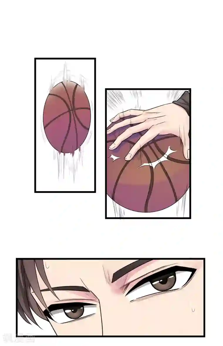 男友已签收，概不负责番外