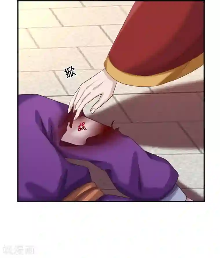 步步毒谋:血凰归来第66话 北燕帝遇刺