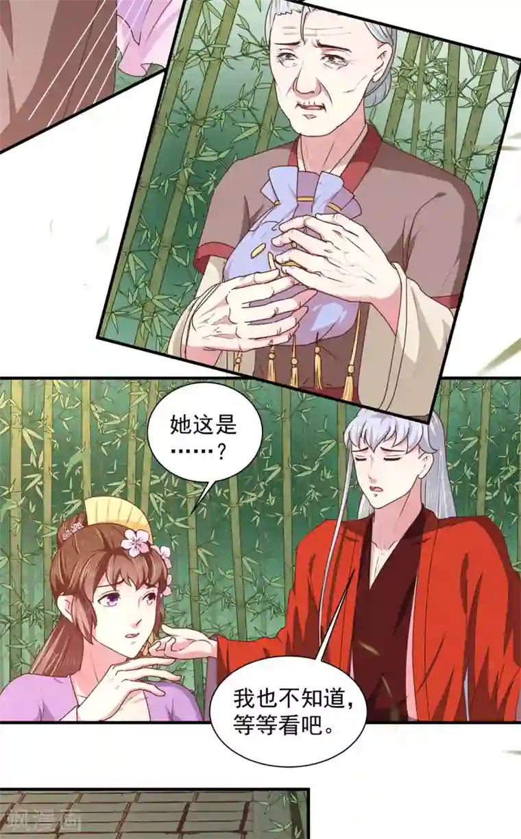 天才小毒妃之芸汐传奇第208话 充满谜团的哑婆婆