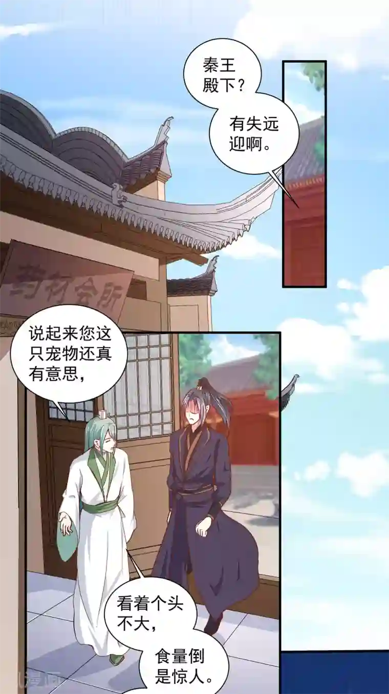 天才小毒妃之芸汐传奇第208话 充满谜团的哑婆婆