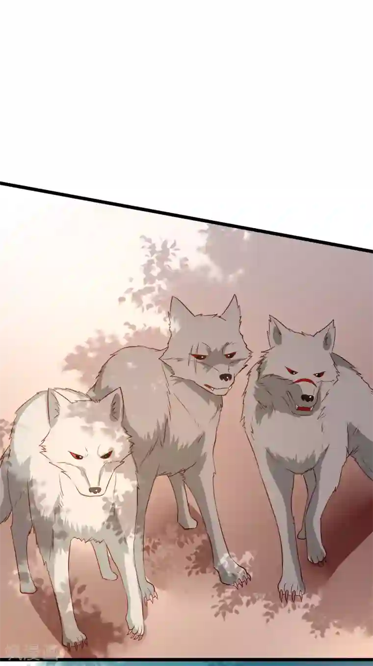 帝凰之神医弃妃第63话 恶梦