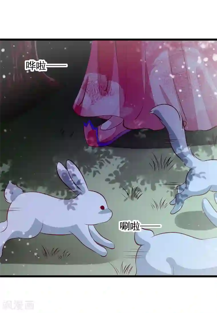 帝凰之神医弃妃第64话 偶遇