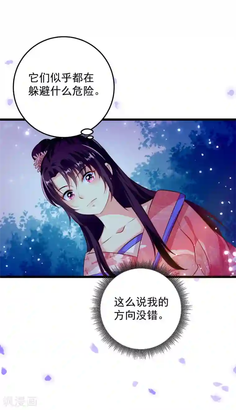 帝凰之神医弃妃第64话 偶遇