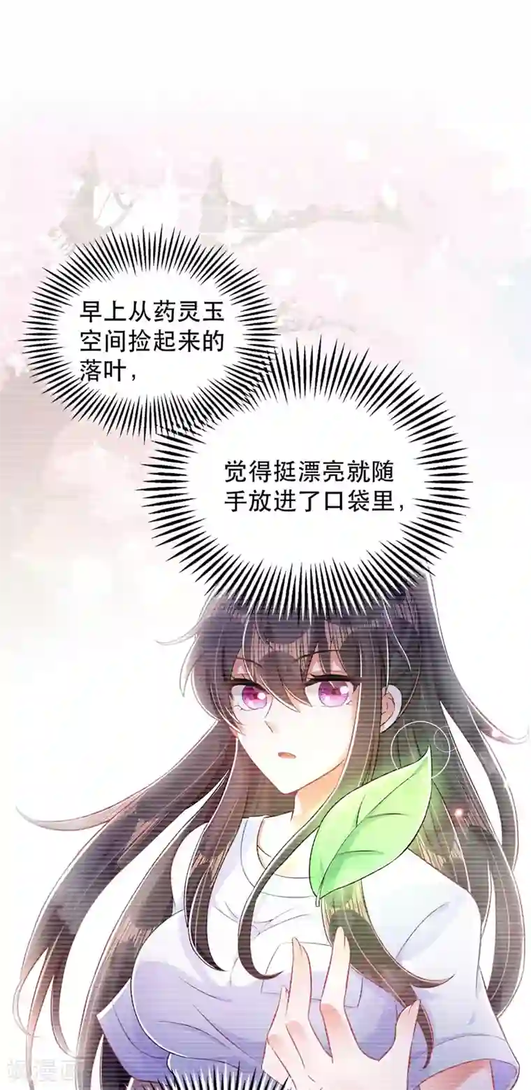 重生空间：豪门辣妻不好惹第57话 小黑，帮我个忙！