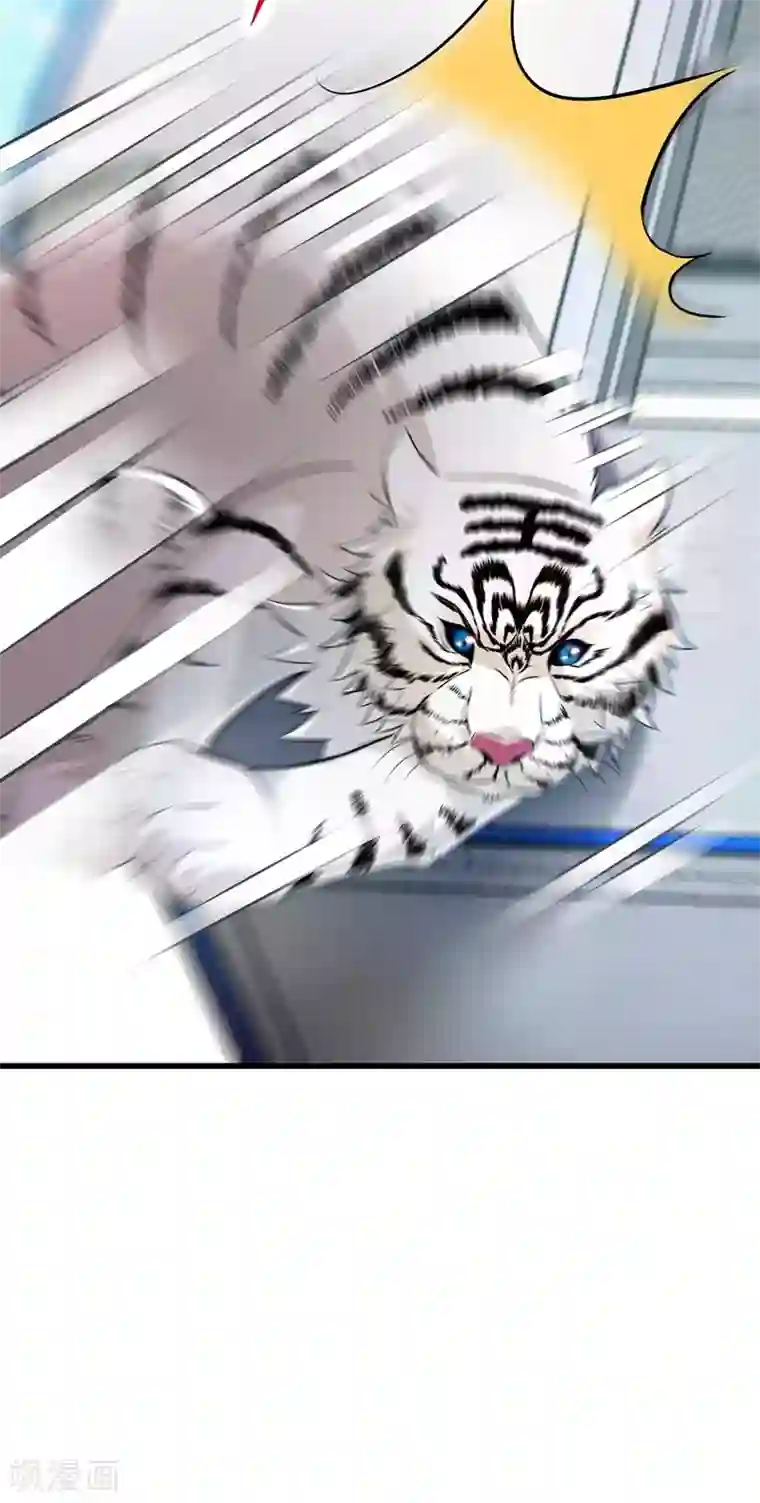 重生空间：豪门辣妻不好惹第57话 小黑，帮我个忙！