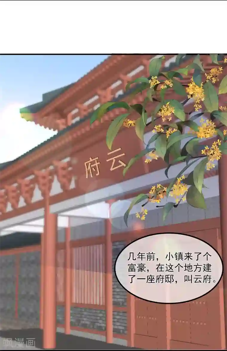 狐妃,别惹我第67话 危险的气息