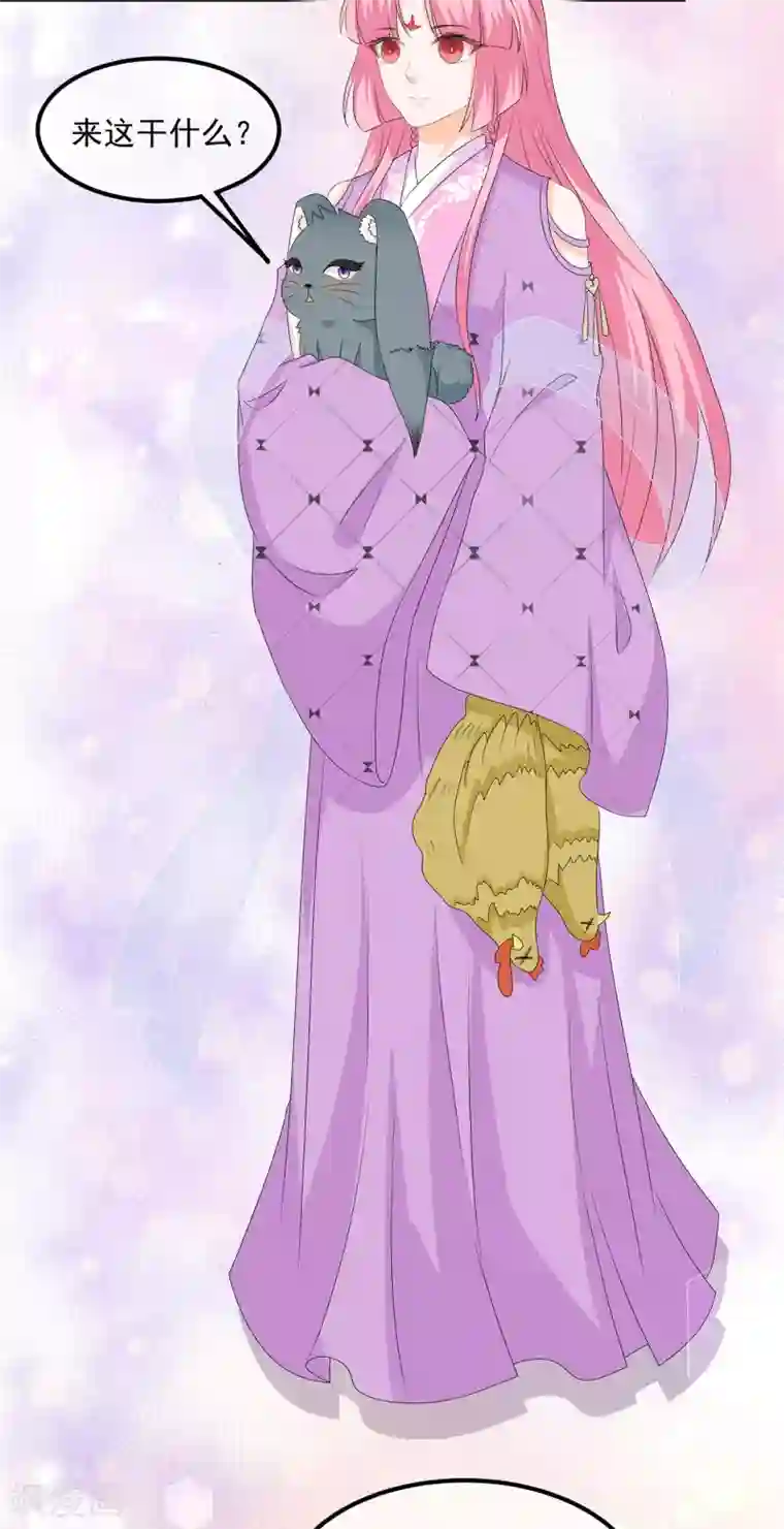 狐妃,别惹我第68话 云府逸闻